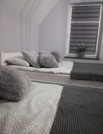U Ptaka - Podgorzyn Apartment ภายนอก รูปภาพ